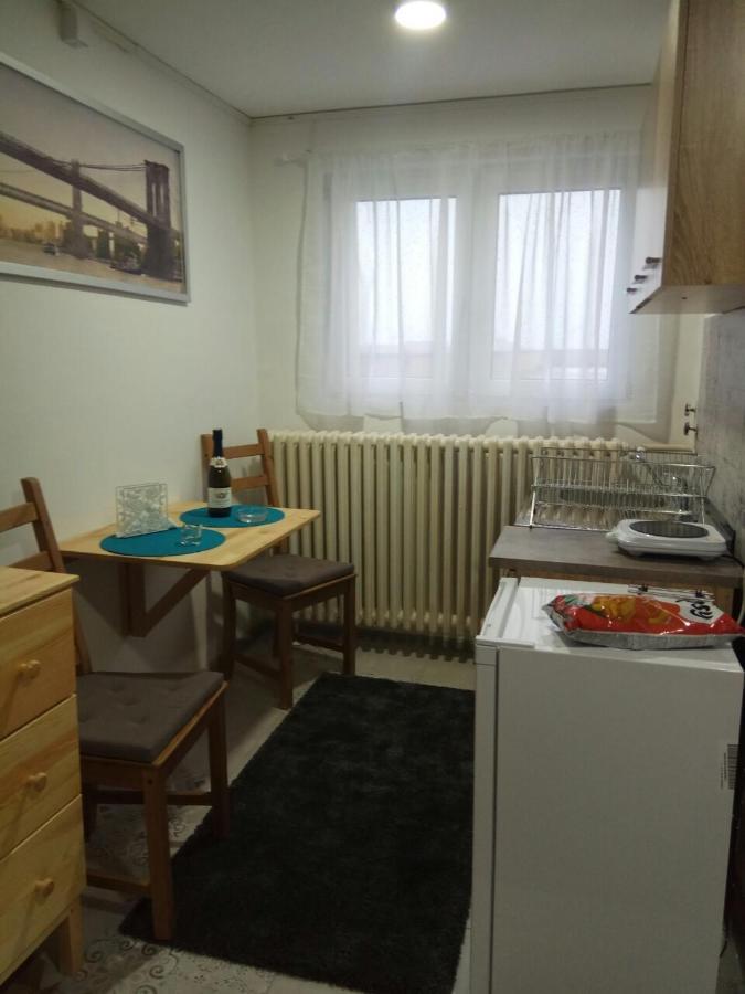 Appartamento Tatjanina Garsonjera Subotica Esterno foto