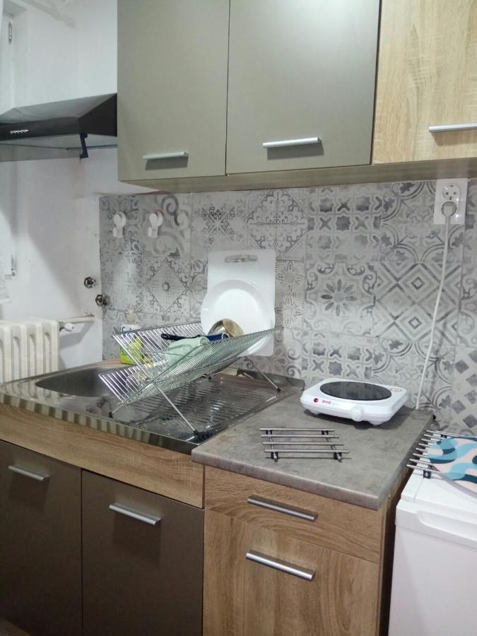 Appartamento Tatjanina Garsonjera Subotica Esterno foto
